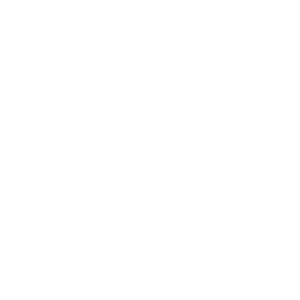 Healthy Academy Logo